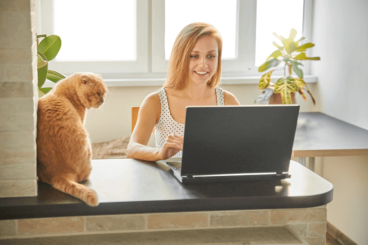 Flexible Working Request