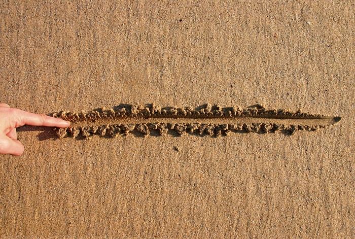Line in the Sand: How Setting Firm Boundaries Protects Your Business and Your People